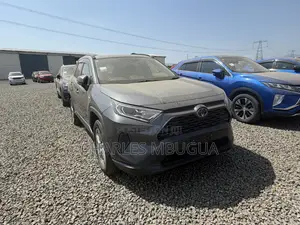 Toyota RAV4 LE AWD 2019 Gray