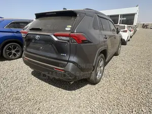 Toyota RAV4 LE AWD 2019 Gray