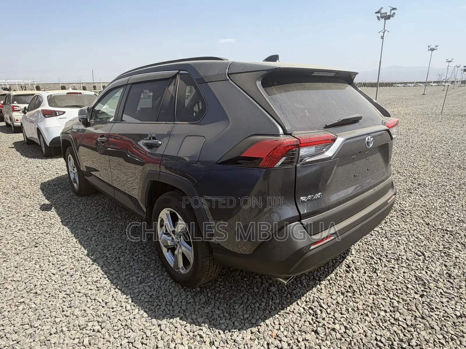 Toyota RAV4 LE AWD 2019 Gray