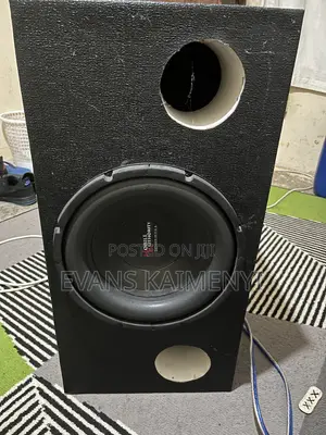 12 Inch Sub and Amp Quick Sale
