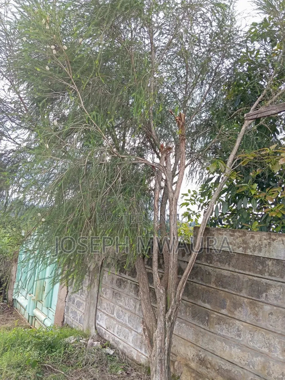 Furnished 5bdrm Farm House in Gatundu North, Githobokoni for sale