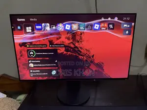 EIZO Flexscan Monitor