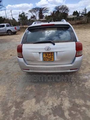 Toyota Corolla Fielder 2013 Silver