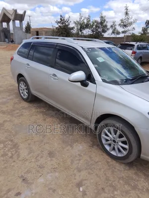Toyota Corolla Fielder 2013 Silver