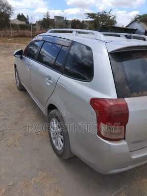 Toyota Corolla Fielder 2013 Silver