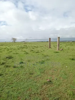 Prime Acreage for Sale | Birika, Kajiado 🔥