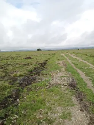 Prime Acreage for Sale | Birika, Kajiado 🔥