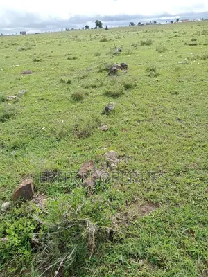 Prime Acreage for Sale | Birika, Kajiado 🔥