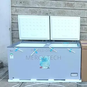 Roch 493l Double Door Flip Door Energy Saver Chest Freezer