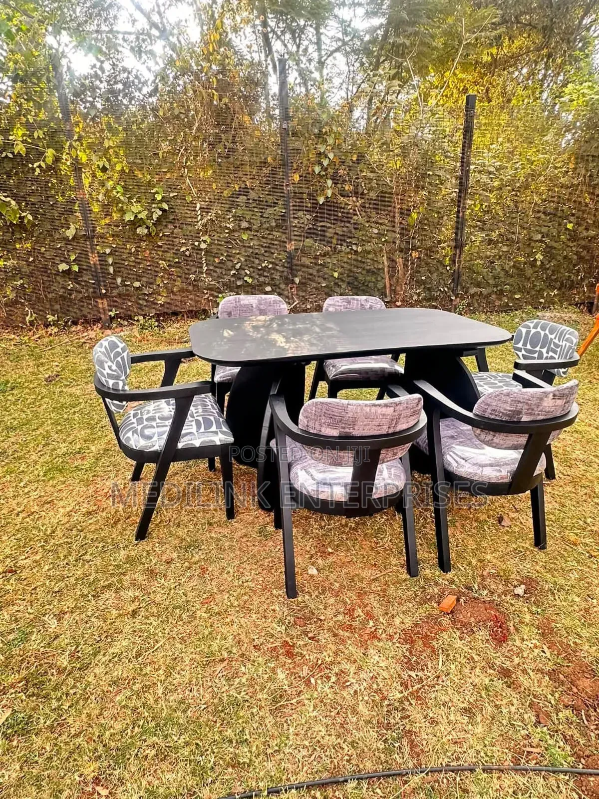 Coalmatt Oval Charm Back 6 Seater Modern Dinning Table Set