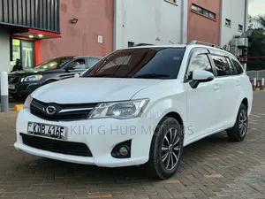 Toyota Corolla Fielder 2013 Pearl
