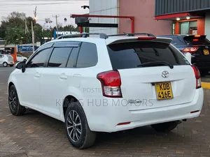 Toyota Corolla Fielder 2013 Pearl