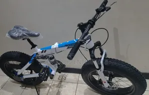 Size 20 Fat Tubless Tire Mountain Sport Bike