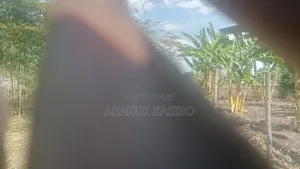 Prime Plot for Sale in Homa Bay, Kodiera Area