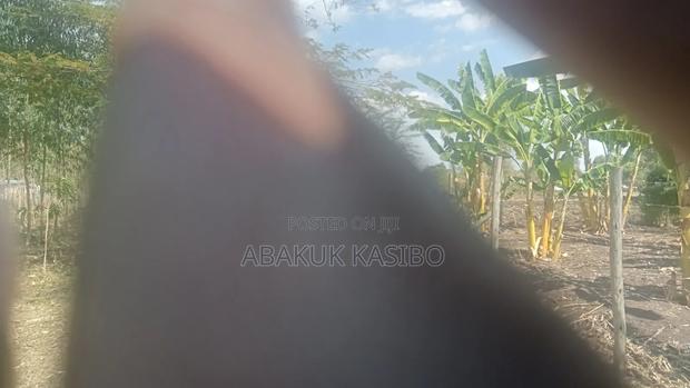 Prime Plot for Sale in Homa Bay, Kodiera Area
