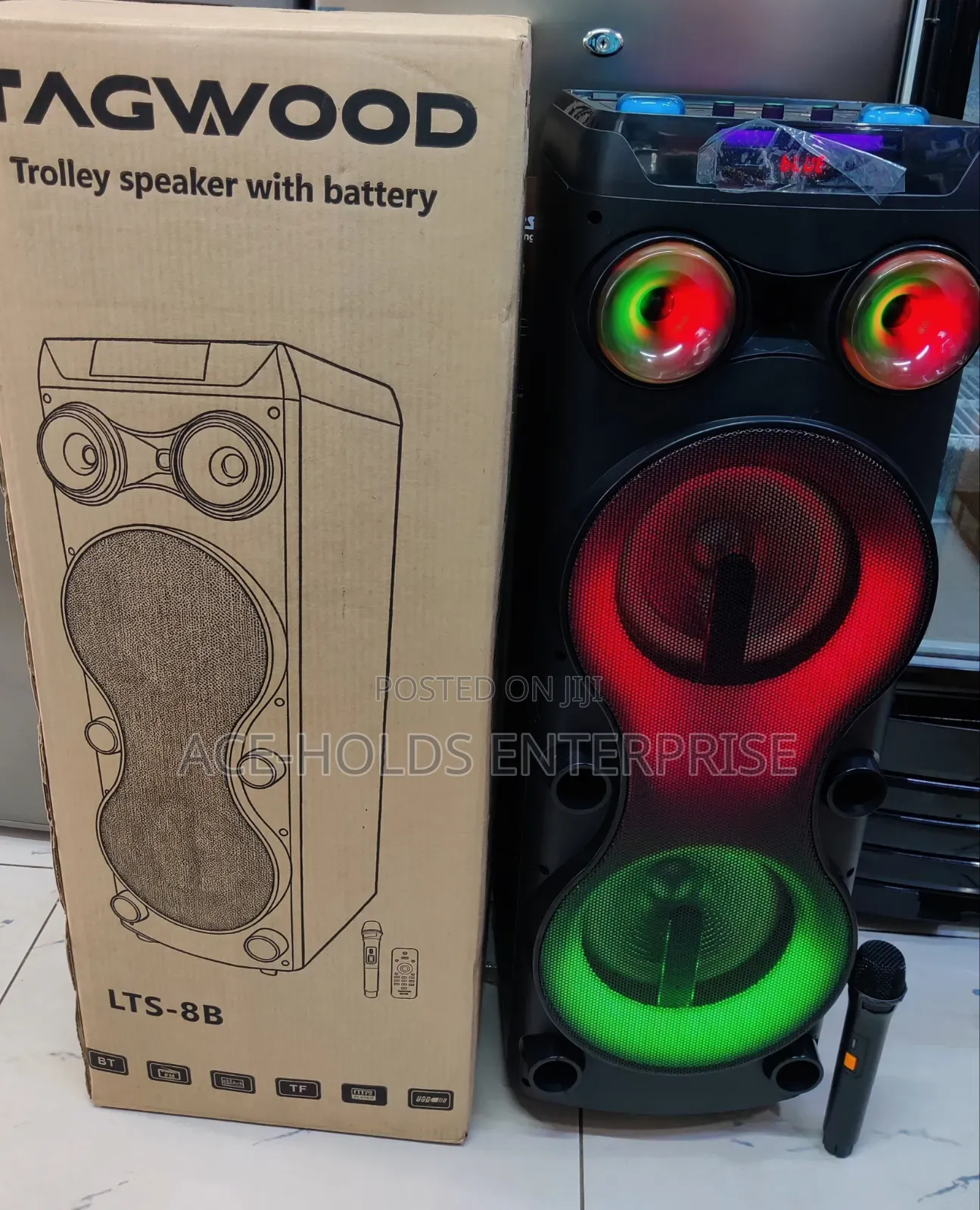 Tagwood Rechargeable Party Box - Microphone and Remote Model: LTS 8B
