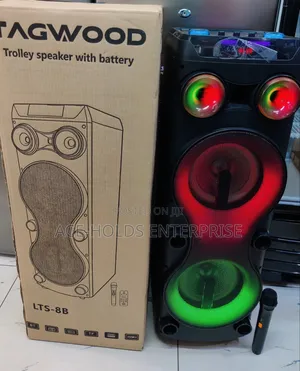 Tagwood Rechargeable Party Box - Microphone and Remote Model: LTS 8B