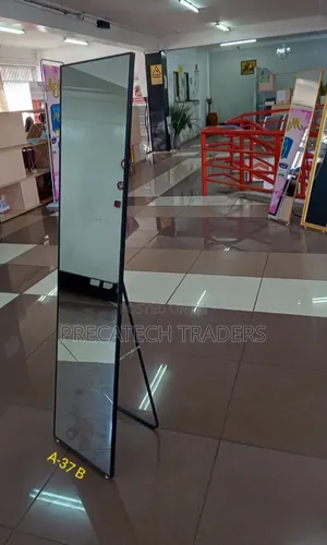 Full Length Standing Mirror With Stylish Black Frame