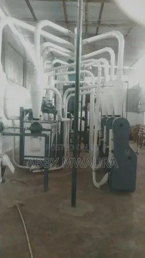 Maize Mill Plant