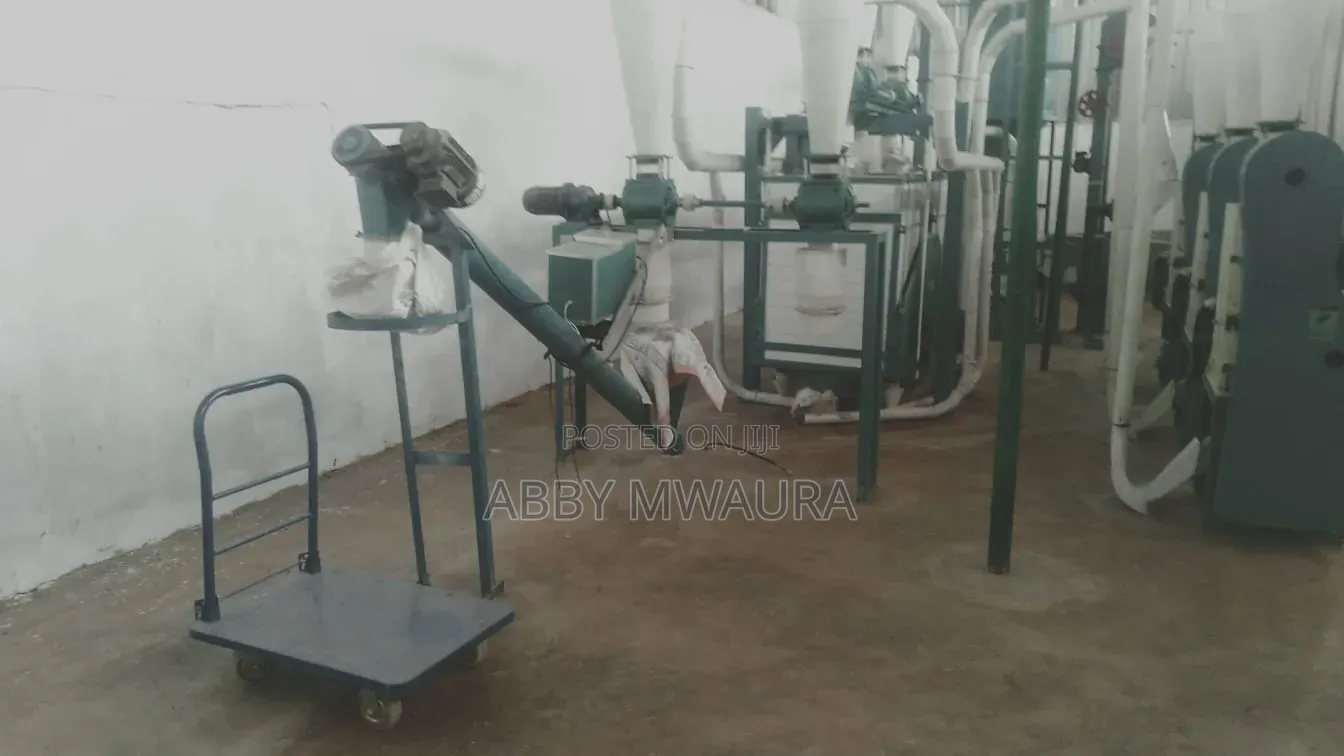 Maize Mill Plant