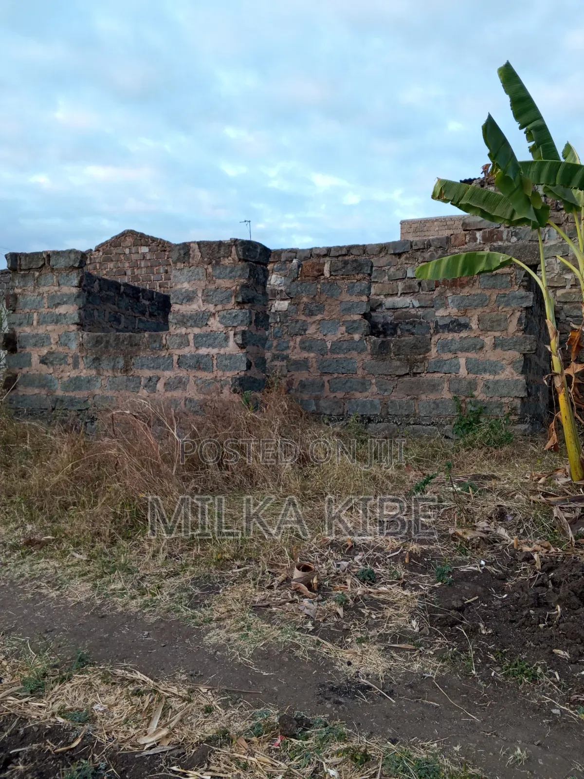 Kiganjo Mali Plot