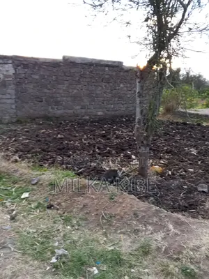 Kiganjo Mali Plot
