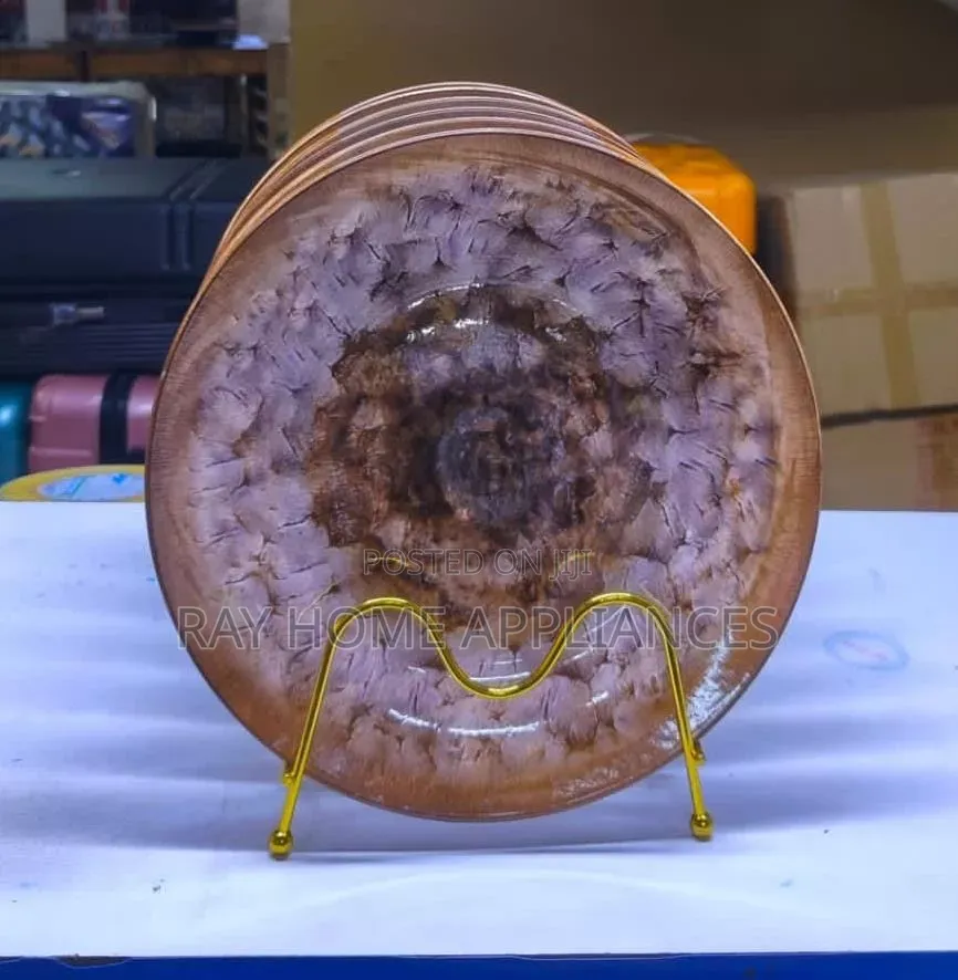 6 Pieces 10 .5 " Plates