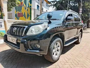 Toyota Land Cruiser Prado 2012 Gray
