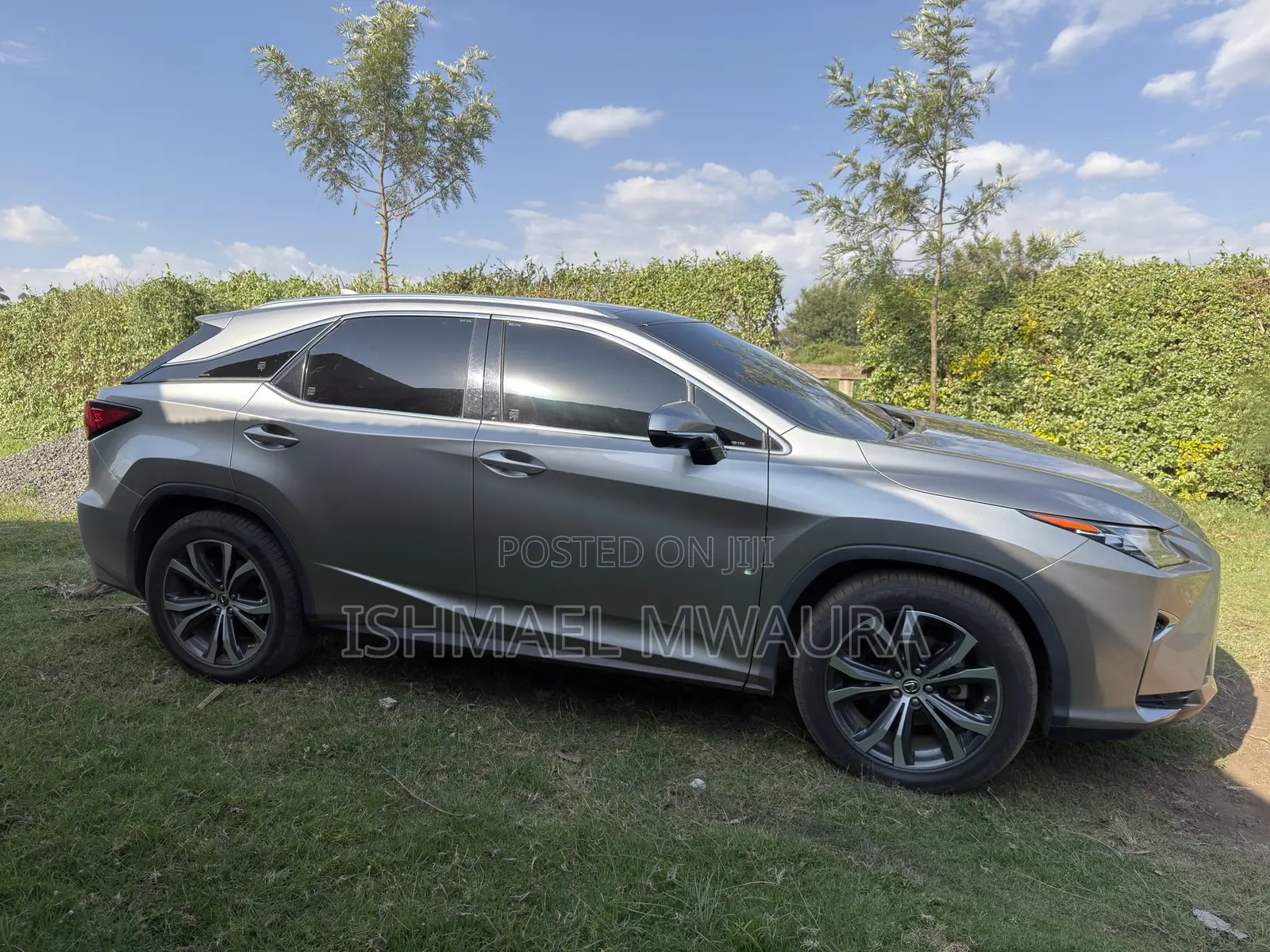 Lexus RX 300 4WD 2018 Gray