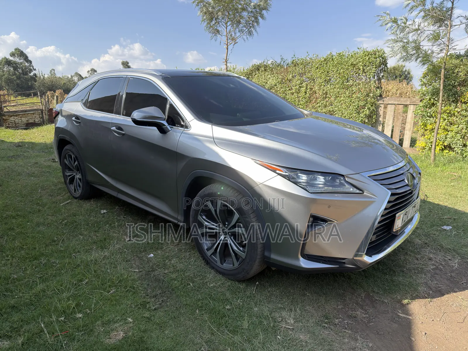 Lexus RX 300 4WD 2018 Gray