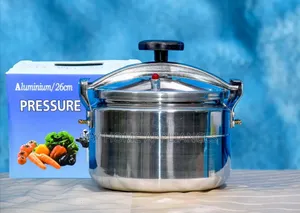 11litres 2 Handle Manual Pressure Cooker