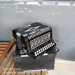 Stephanelli Accordion
