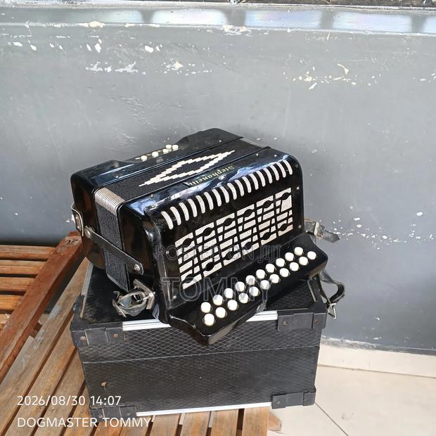 Stephanelli Accordion
