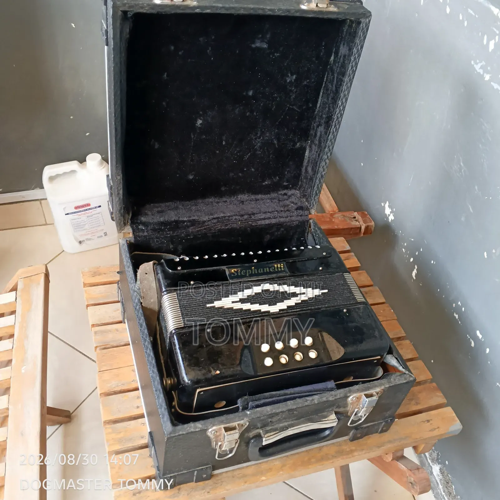 Stephanelli Accordion