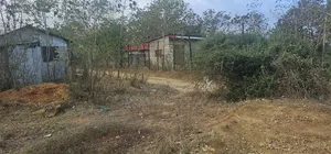 Kashani Plots