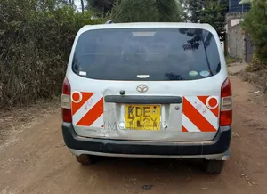 Toyota Probox 2014 Silver