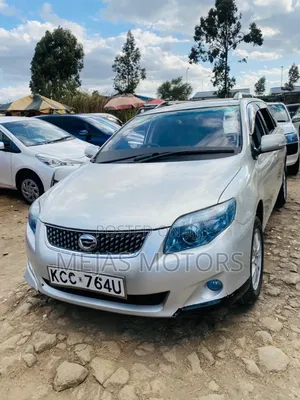 Toyota Corolla Fielder 2008 Silver