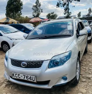 Toyota Corolla Fielder 2008 Silver