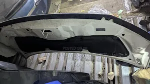 Honda Stepwagon Bonnet