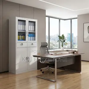 Office Cabinet; Two Doors Offices Files and Document Store Cabinet