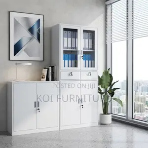 Office Cabinet; Two Doors Offices Files and Document Store Cabinet