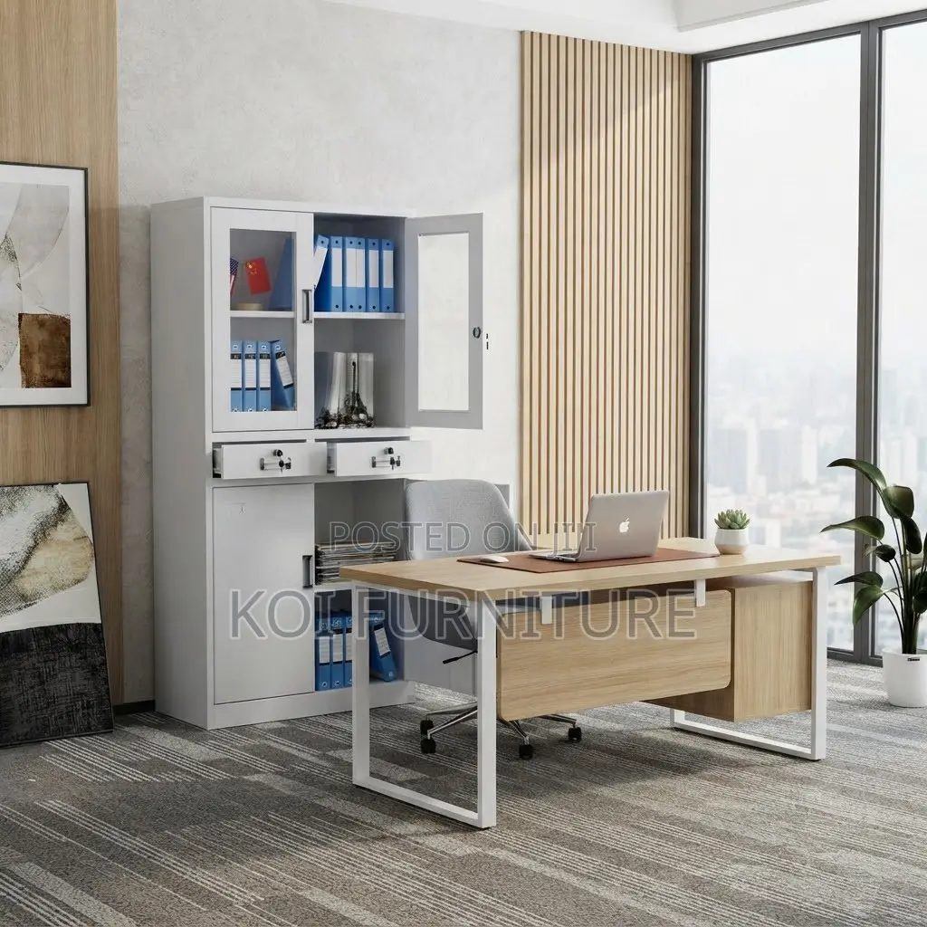 Office Cabinet; Two Doors Offices Files and Document Store Cabinet