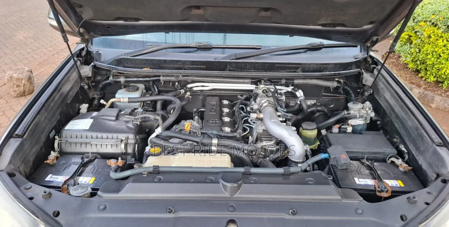 Toyota Land Cruiser Prado 2010 Gray