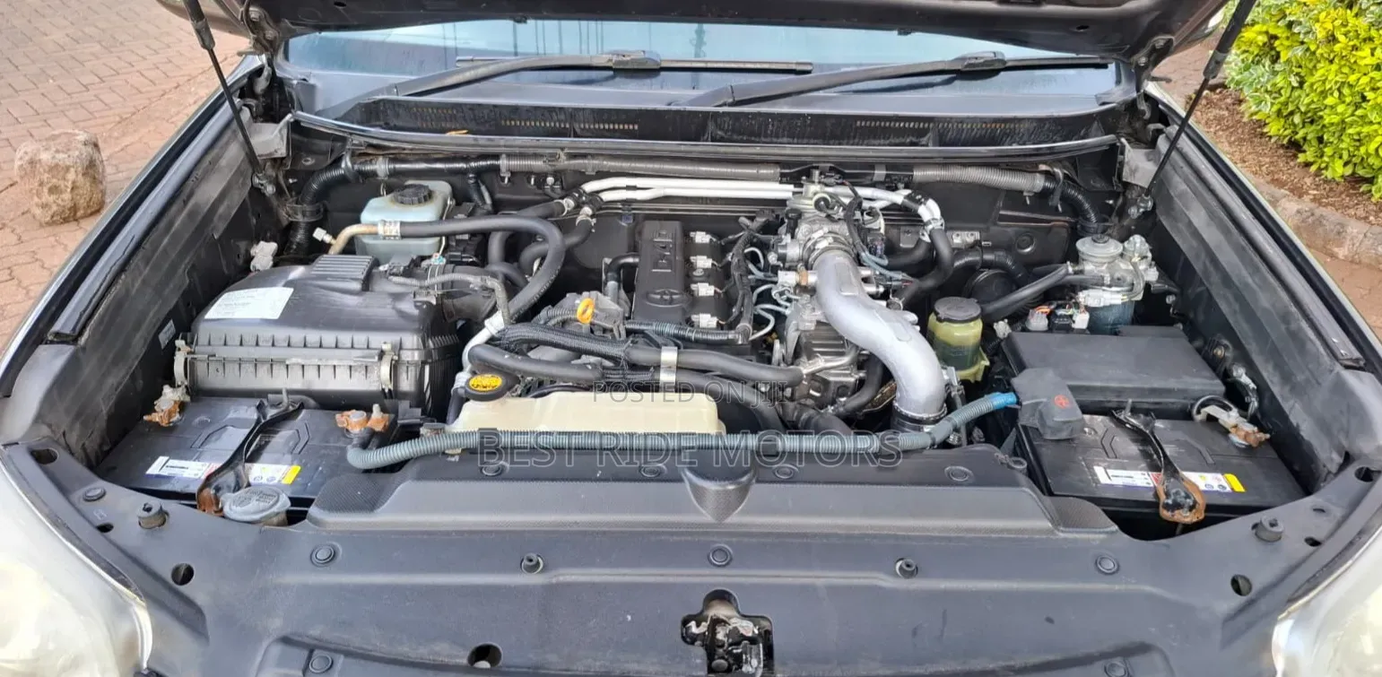 Toyota Land Cruiser Prado 2010 Gray