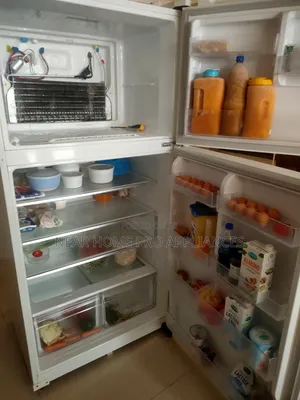 Fridge & Freezer Repair Services