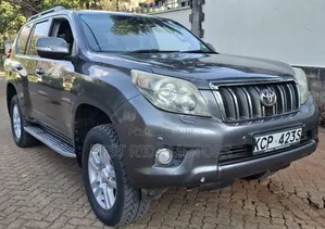 Toyota Land Cruiser Prado 2010 Gray