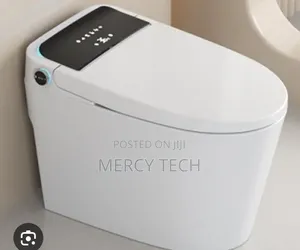 Bolesi Smart Toilet