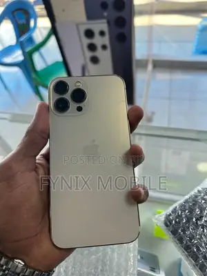 Apple iPhone 13 Pro Max 256 GB Gold