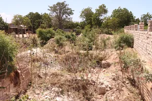 KILIFI BOFA 50x100 PLOT - 5min Walk to the Beach