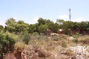 KILIFI BOFA 50x100 PLOT - 5min Walk to the Beach